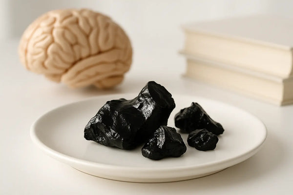 Shilajit en Hersenfunctie: Hoe het Geheugen, Focus en Neuroplasticiteit Versterkt