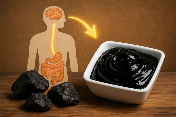 Wat is Shilajit en hoe werkt het?