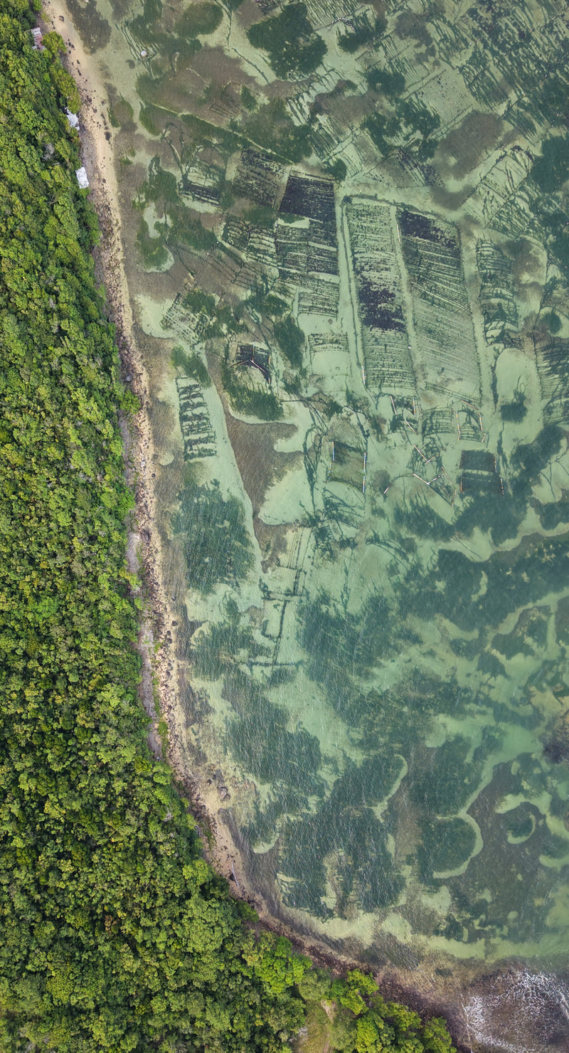 Oogsten in de oceaan