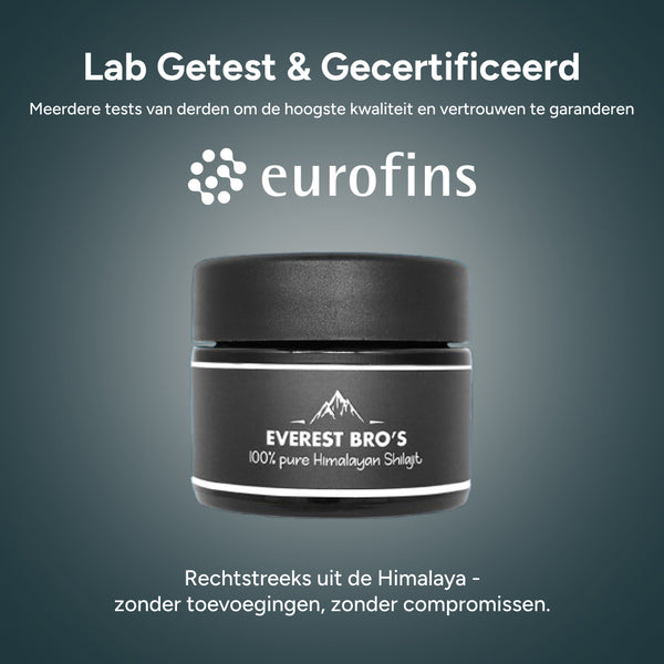 Everest Bro's Shilajit