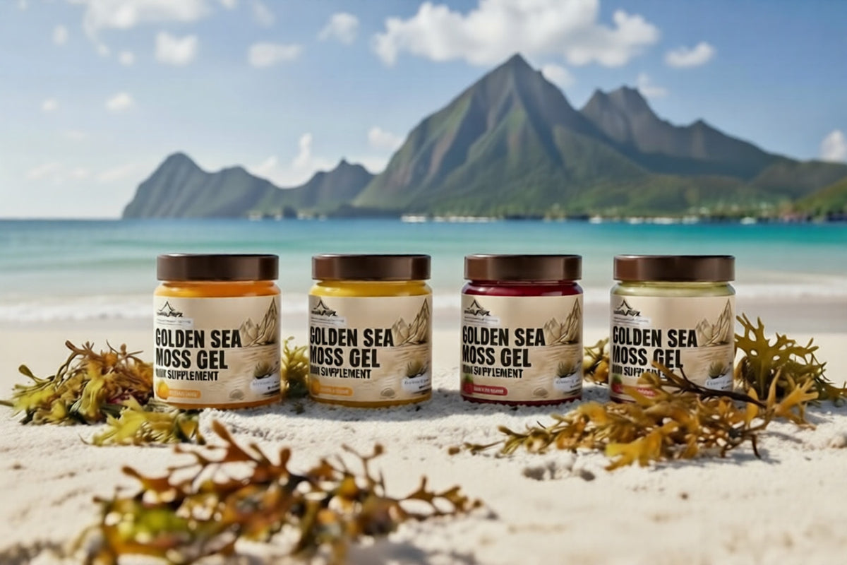 Is Sea Moss Wel Geschikt Voor Mij?